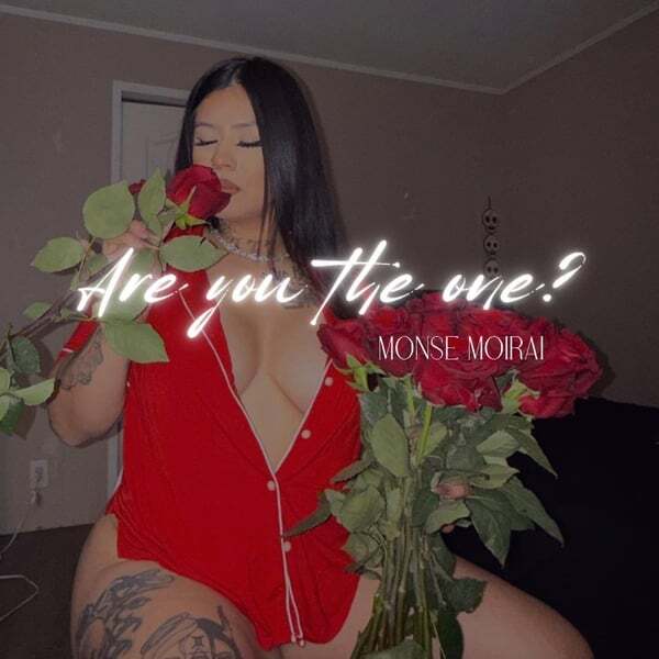 Cover art for Are You the One?